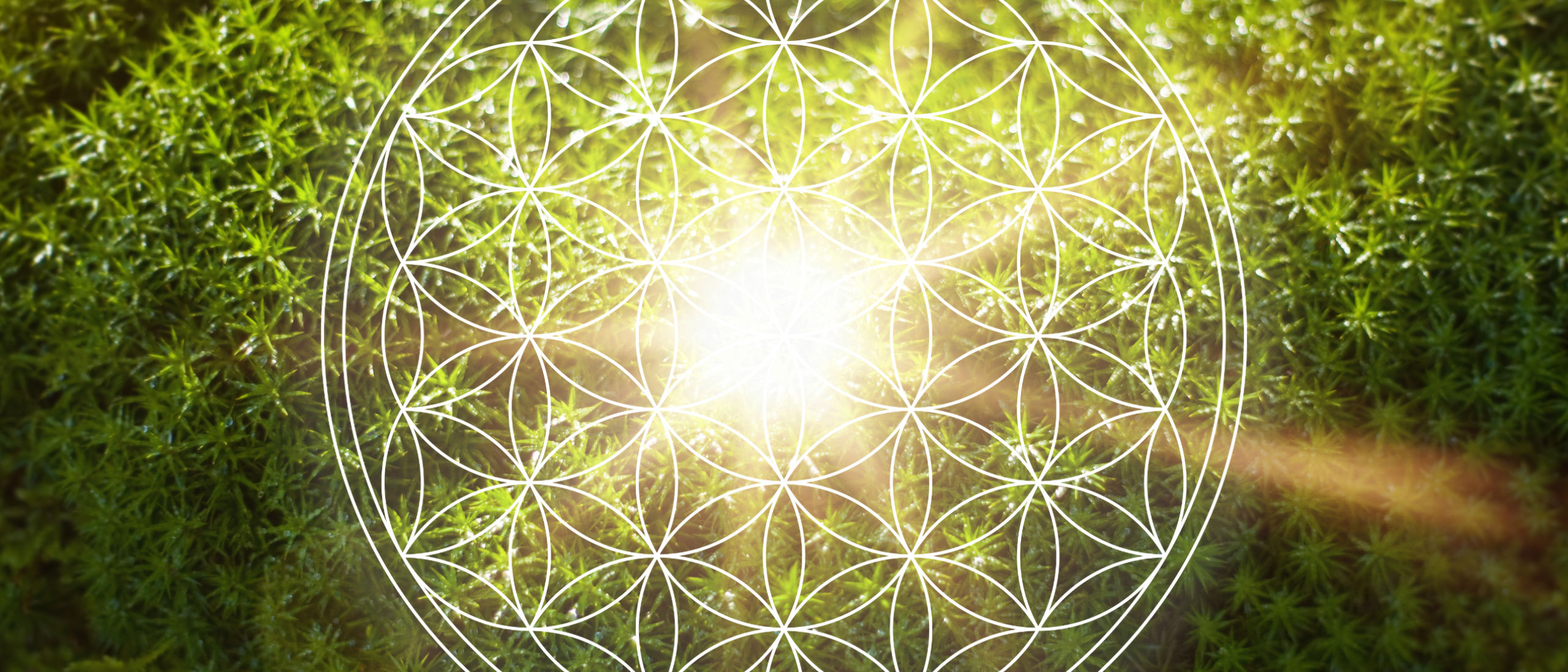 VortexHealing® DivineEnergyHealing-Vorschaubild